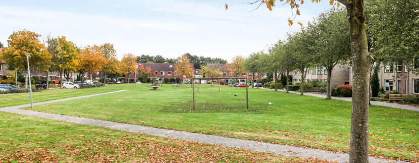10-Omgeving-01