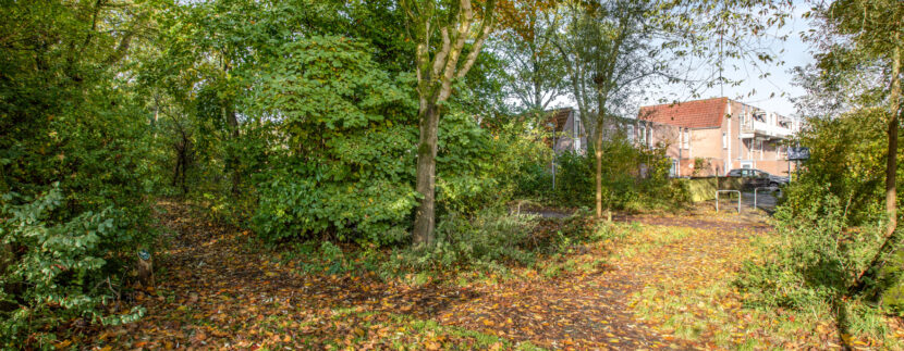02-Omgeving-01